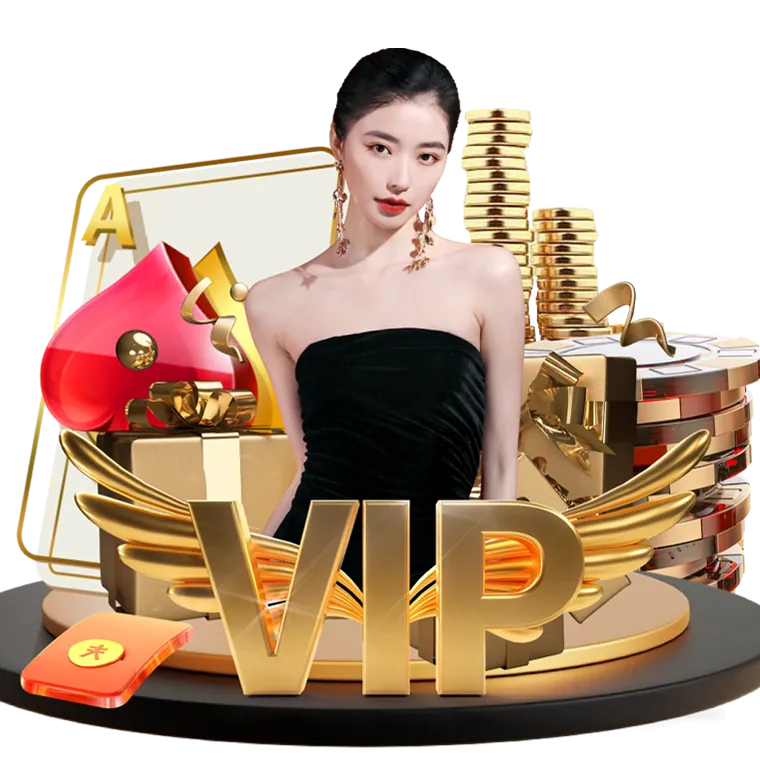 winzir. privacy protection